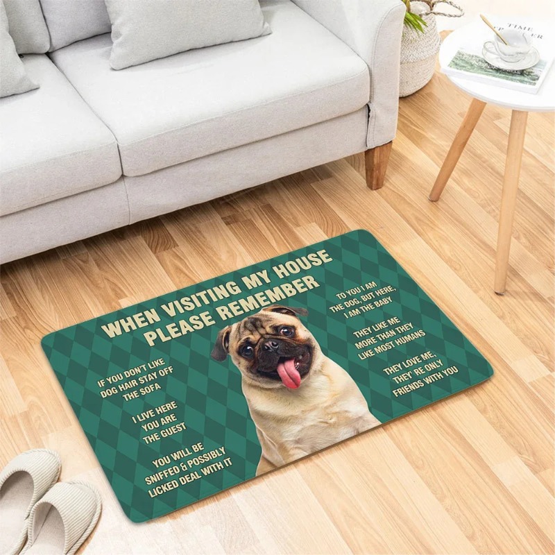 Dog Funny Door Mat Small Carpe - Home Bathroom Reno ulasan dan harga