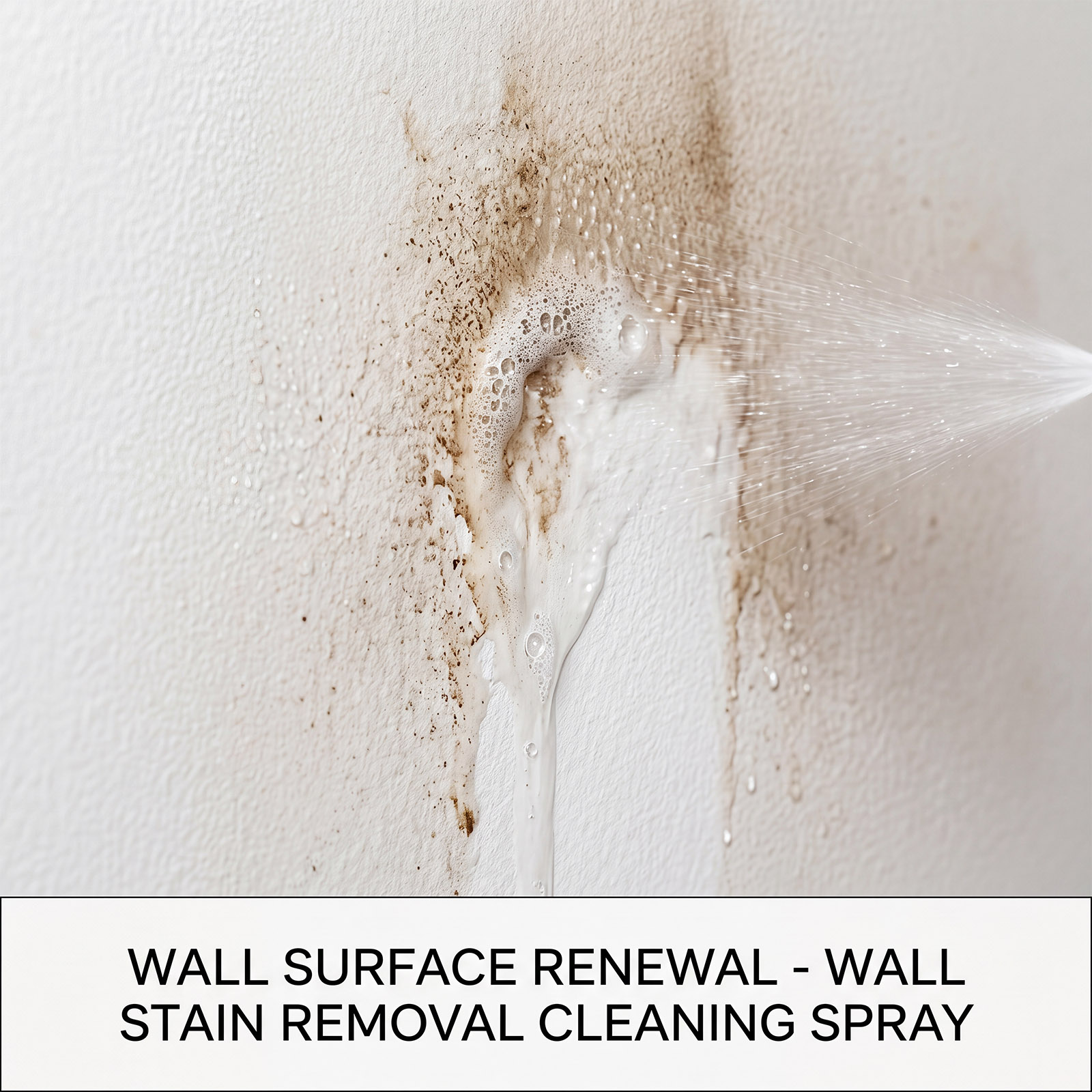 Mildew Remover Wall Spray Clea - Home Bathroom Cleaner ulasan dan harga